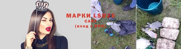 стаф Няндома