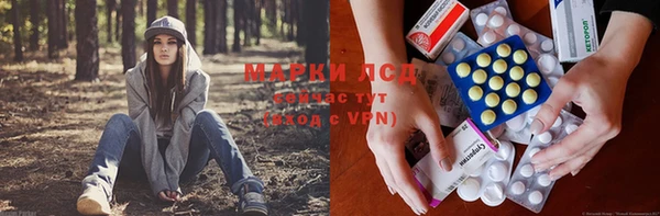 стаф Няндома