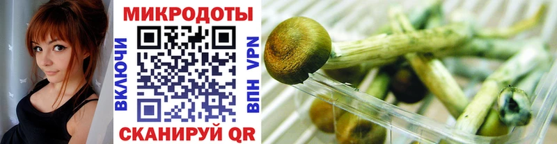 Псилоцибиновые грибы GOLDEN TEACHER  закладка  Аша 