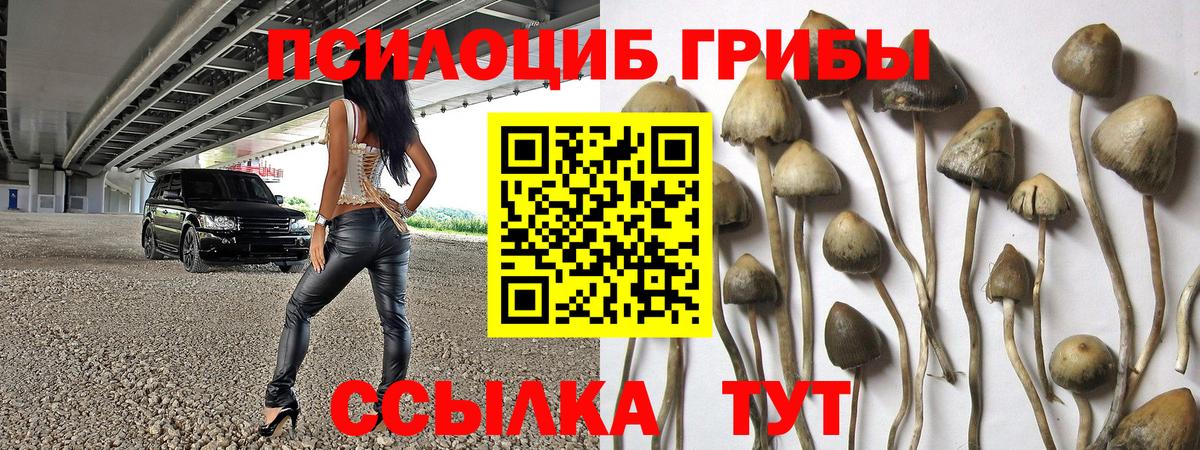 Псилоцибиновые грибы прущие грибы Аша