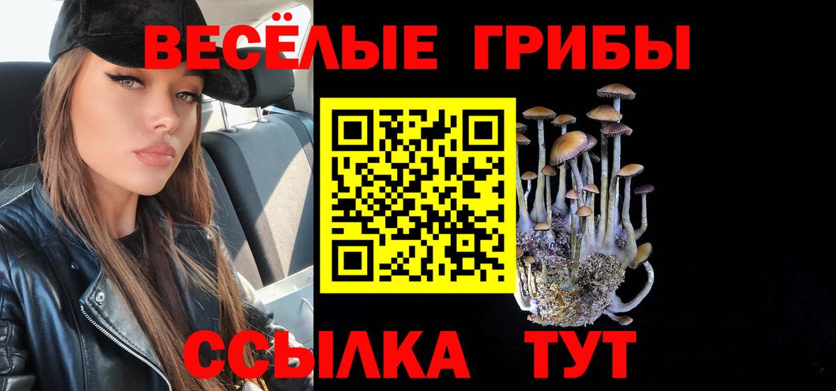 Псилоцибиновые грибы MAGIC MUSHROOMS  дарнет шоп  Аша  Псилоцибиновые грибы Magic Shrooms 